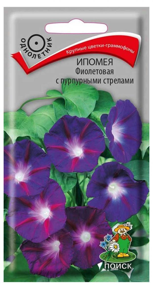

Семена Ипомея «Поиск» Фиолетовая с пурпурными стрелами, 0,5 г