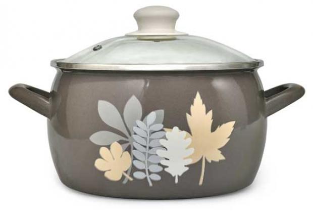 Кастрюля Metrot Осенняя соната эмалированная для индукционных плит 24 л 1070₽