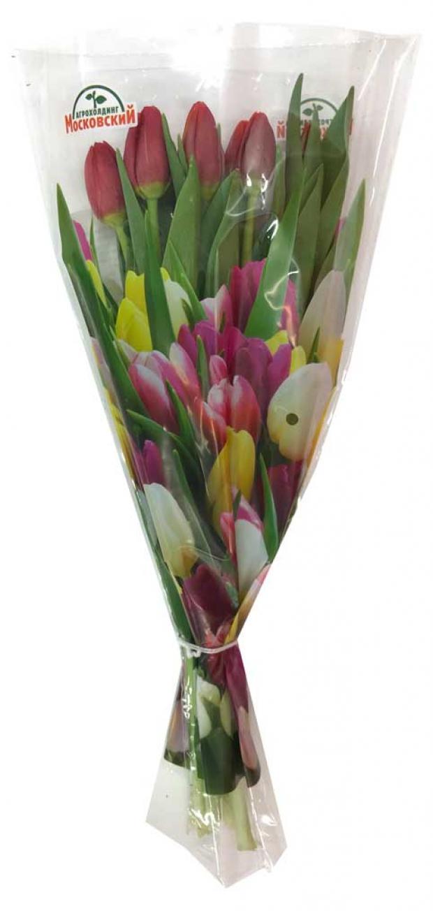 

Букет тюльпанов 9 шт, в ассортименте