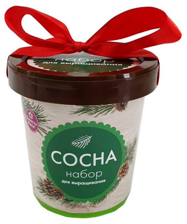 

Набор для выращивания Happy Plant Сосна