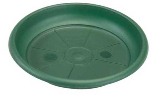 Поддон Santino Terra зеленый 125 см 2 см 19₽