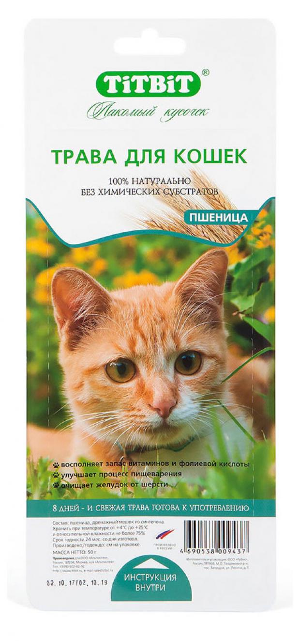 Трава для кошек TiTBiT пшеница 50 г 58₽