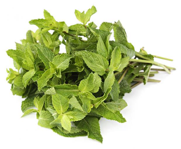 Мята Лето лоток 50 г 90₽