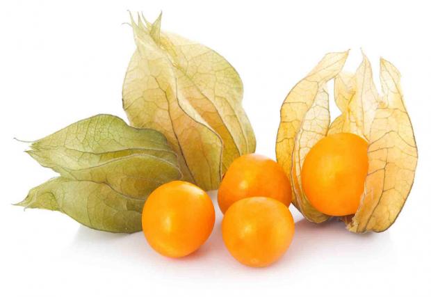 Физалис Andes Fruits 115 г 150₽