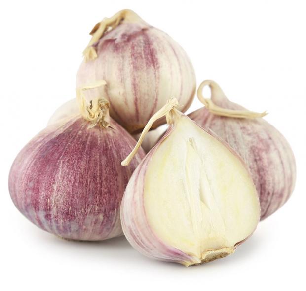 Чеснок Соло 200 г 300₽