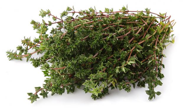 Тимьян бокс 30 г 120₽