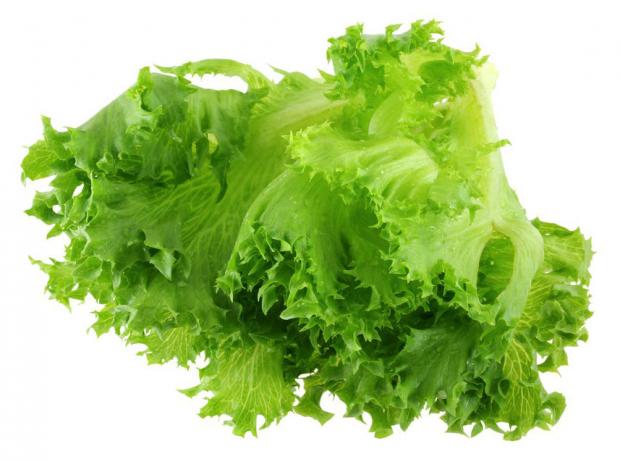 Салат свежий Выборжец Фриллис 100 г 100₽