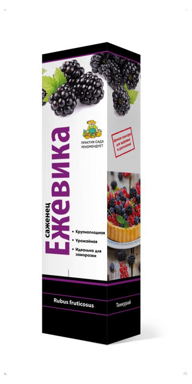 

Саженцы Ежевика «Поиск», 200 г