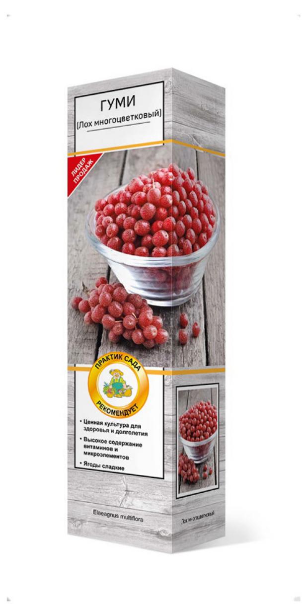 

Саженцы Гуми «Поиск» Мультифлора, 200 г