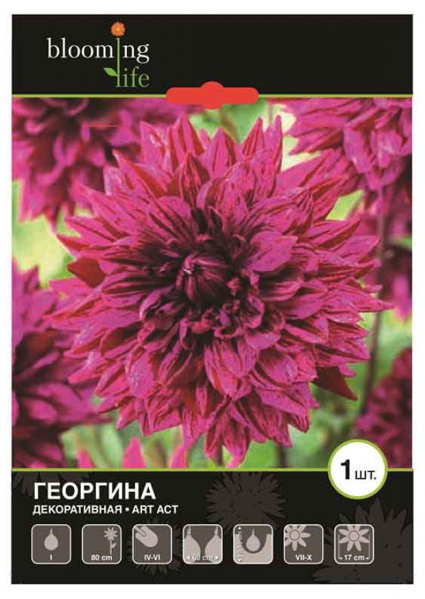 

Саженцы Георгина «Цветочный альянс» De Ree Арт Акт, 1 шт