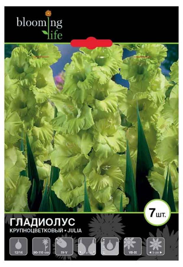 

Саженцы Гладиолус «Цветочный альянс» De Ree 12/14 Джулия, 7 шт