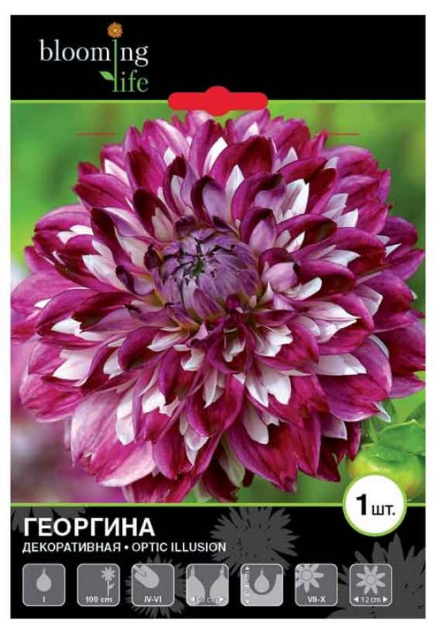 

Саженцы Георгина «Цветочный альянс» De Ree Оптик Иллюжн, 1 шт