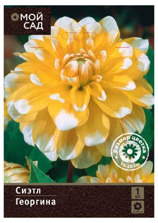 

Саженцы Георгина «Цветочный альянс» De Ree Сиэтл, 1 шт