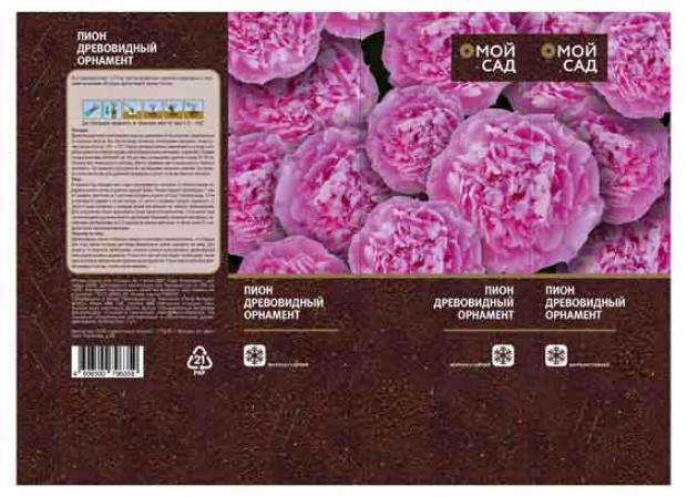 

Саженцы Пион «Цветочный альянс» Орнамент древовидный