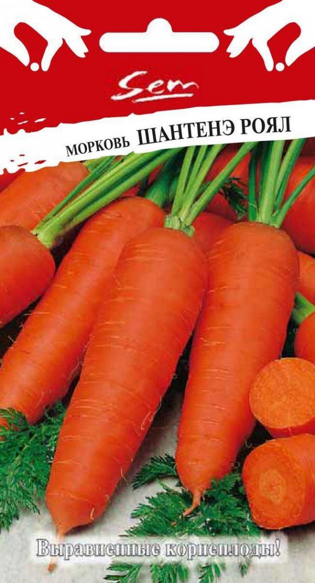 

Семена Морковь «Русский Огород» Шантанэ роял, 2 г