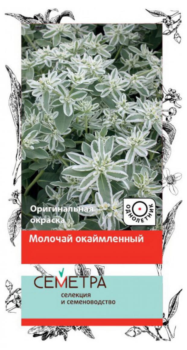 

Семена Молочай «Поиск» Окаймленный, 0,2 г