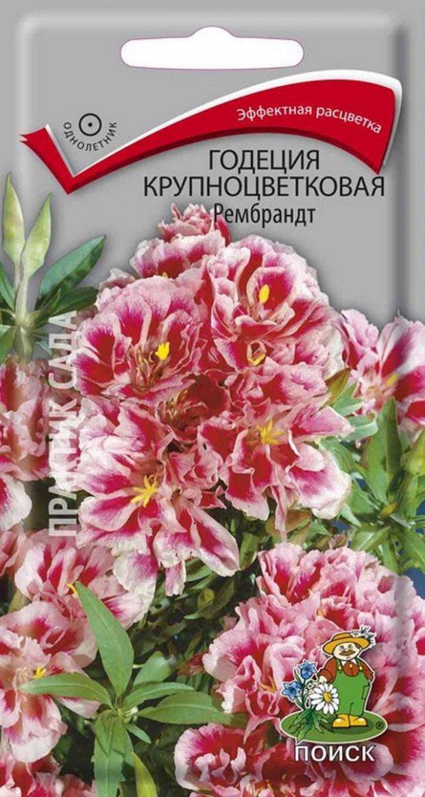 

Семена Годеция «Поиск» Рембрандт, 0,2 г