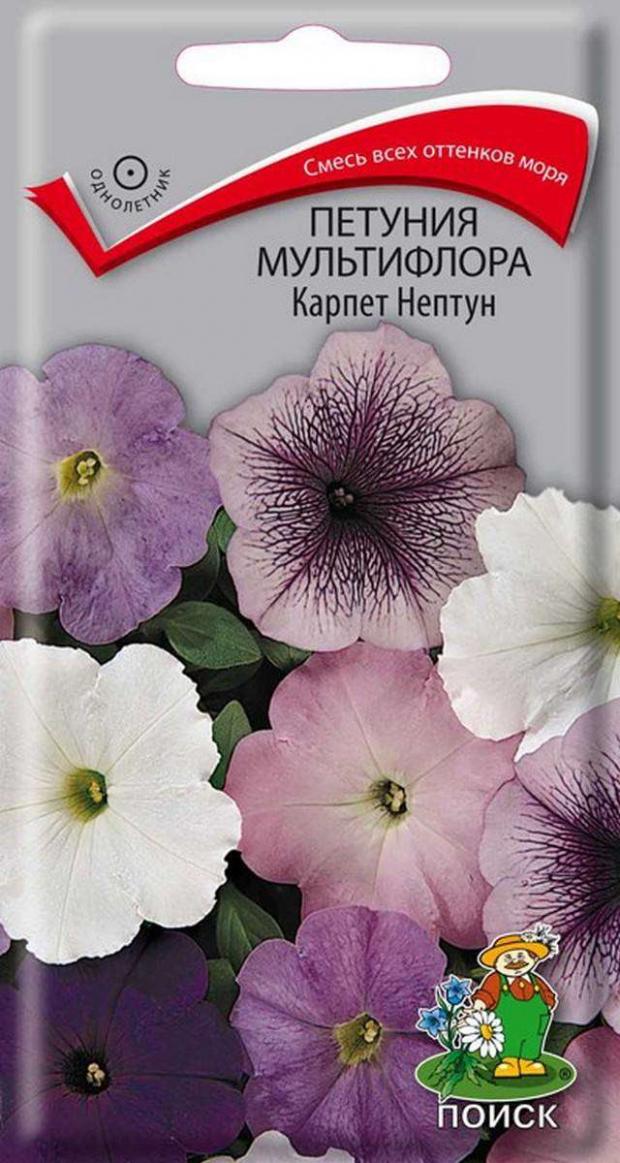 

Семена Петуния «Поиск» Карпет Нептун, 10 шт