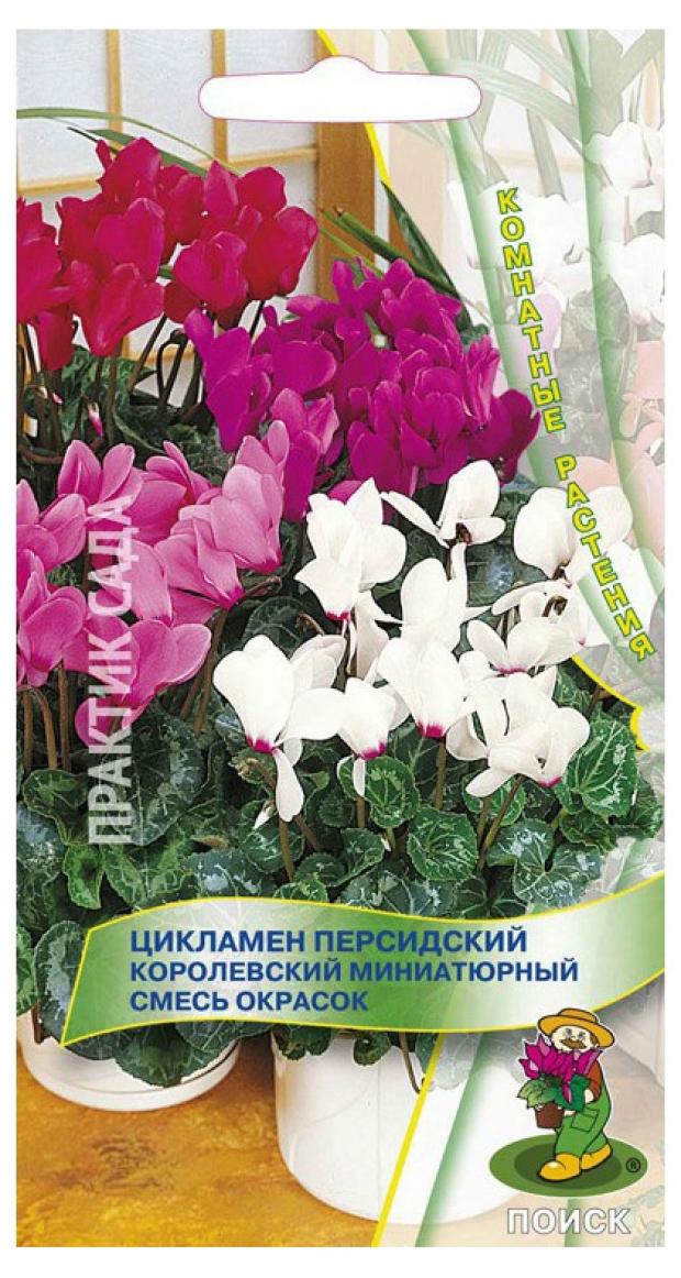 

Семена Цикламен «Поиск» Королевский миниатюрная смесь, 2 шт
