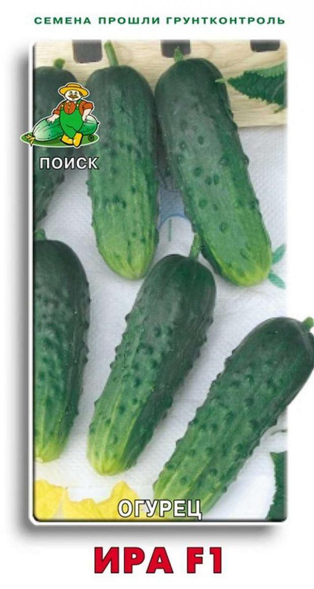 

Семена Огурец «Поиск» Ира, 12 шт