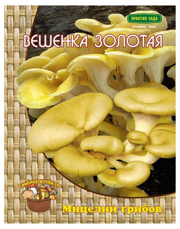 

Мицелий грибов Вешенка «Поиск» Золотисто-лимонная, 12 шт