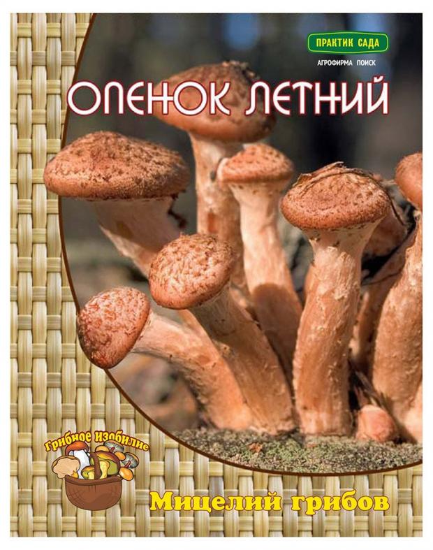 

Мицелий грибов Опенок «Поиск» Летний, 12 шт