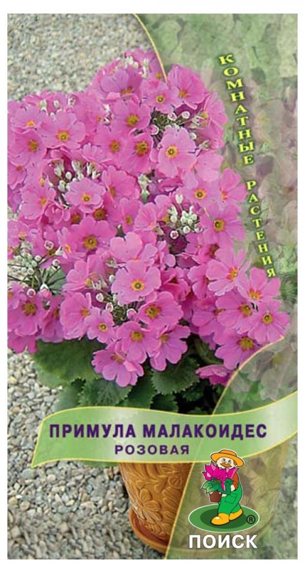

Семена Примула «Поиск» Малакоидес розовая, 10 шт