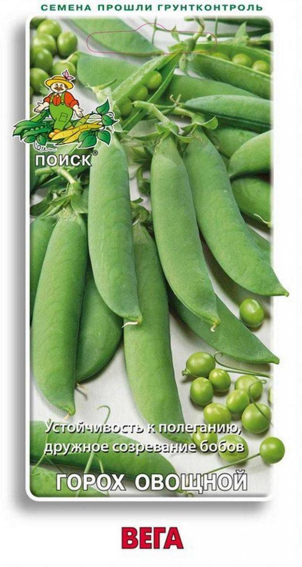 

Семена Горох «Поиск» Овощной вега, 10 г