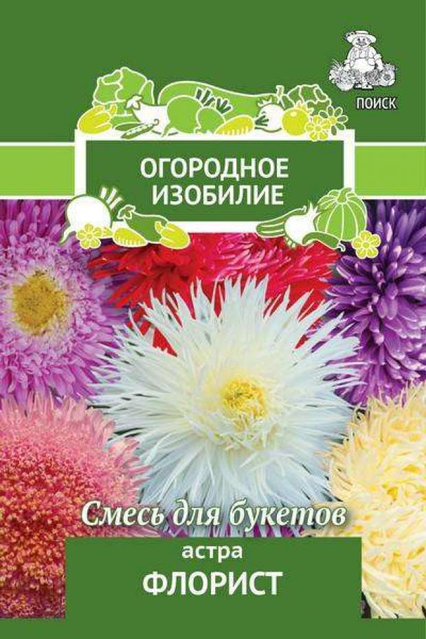 

Семена Астра «Поиск» Флорист, 0.3 г