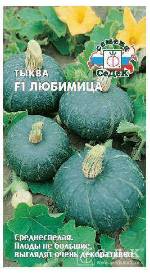 

Семена Тыква «СеДеК» Любимица F1, 1 г