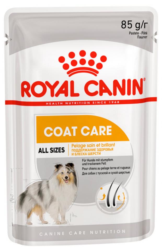 

Корм для собак Royal Canin Coat Care для тусклой и сухой шерсти паштет, 85 г