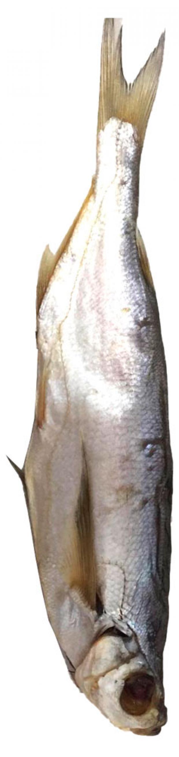 Чехонь вяленая «Элит Фиш», 1 кг