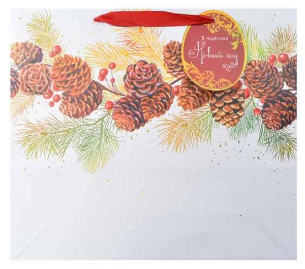 Пакет подарочный Арт Дизайн 119₽