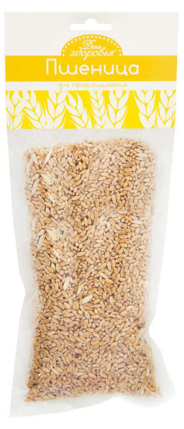 Пшеница «День здоровья» для проращивания, 280 г