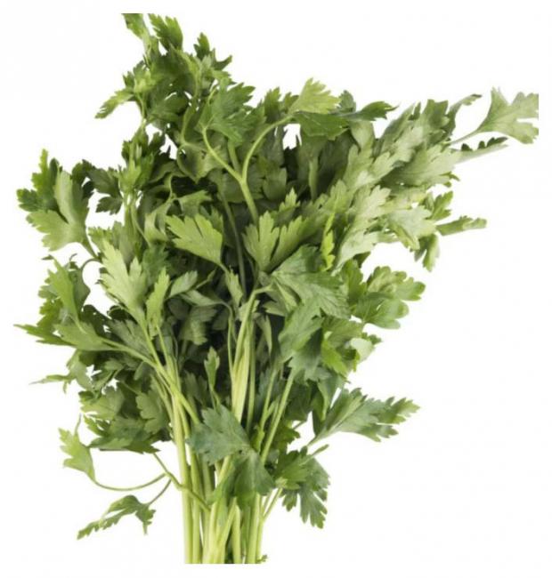 Петрушка Агрохолдинг Московский в горшочке 150 г 60₽