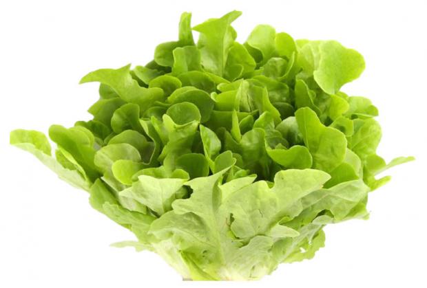 Салат листовой Агрохолдинг Московский Дуболистный зелёный в горшочке 170 г 70₽