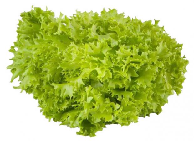 Салат Агрохолдинг Московский Кудрявый Джаз в горшочке 170 г 100₽