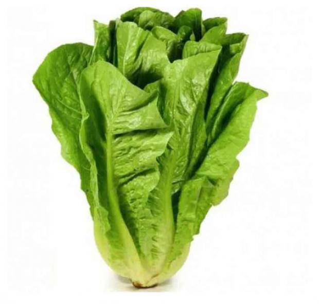 Салат Ромэн Агрохолдинг Московский Эксклюзив 140 г 70₽