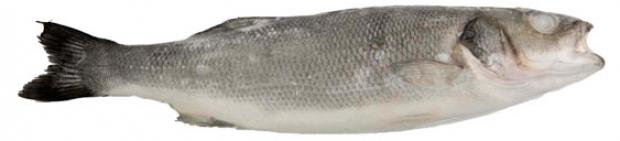 

Сибас неразделанный Ultra Fish, вес