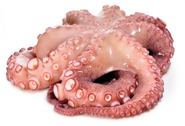 Осьминог «Морская Палитра», вес