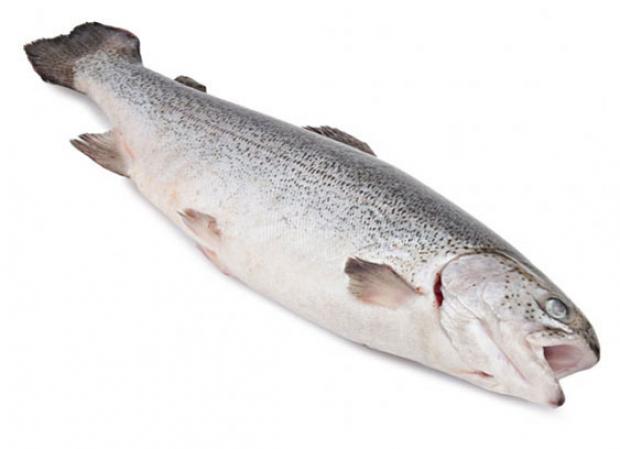 Форель Радужная неразделанная «Экор», вес