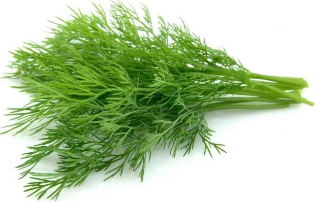Укроп вес 599₽