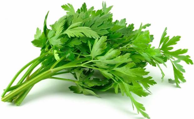 Кинза вес 699₽