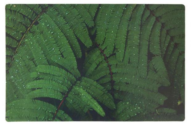 Салфетка индивидуальная Remiling Household ПВХ 43х28 см 30₽