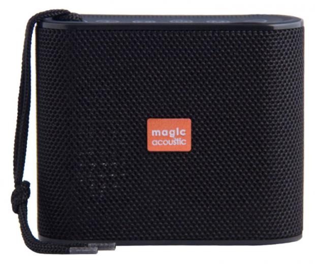

Портативная колонка Belsis Evolution SK1020BK черная