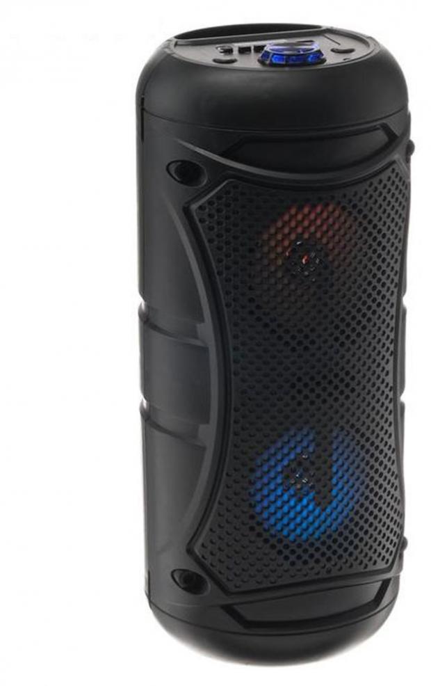 

Портативная колонка Belsis BK1001