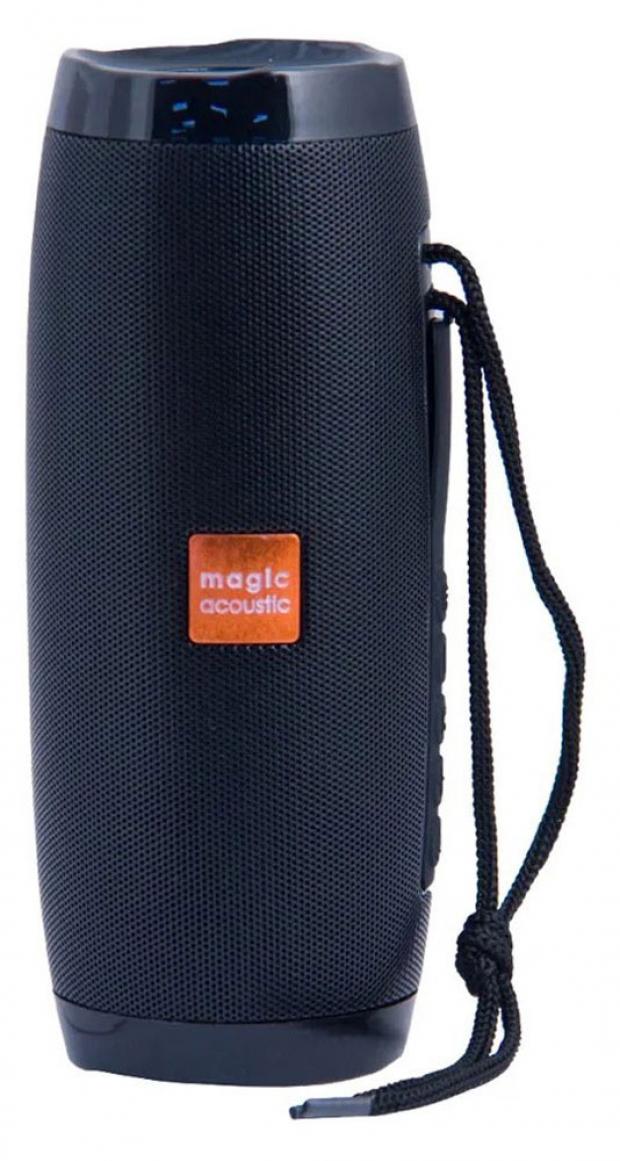 

Колонка Magic Acoustic Enigma