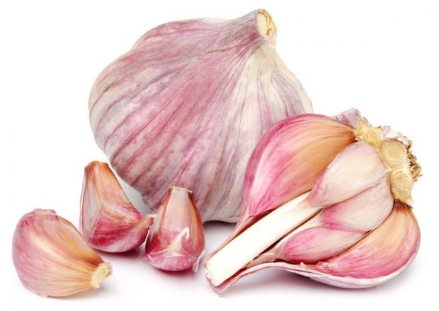 Чеснок молодой вес 150₽