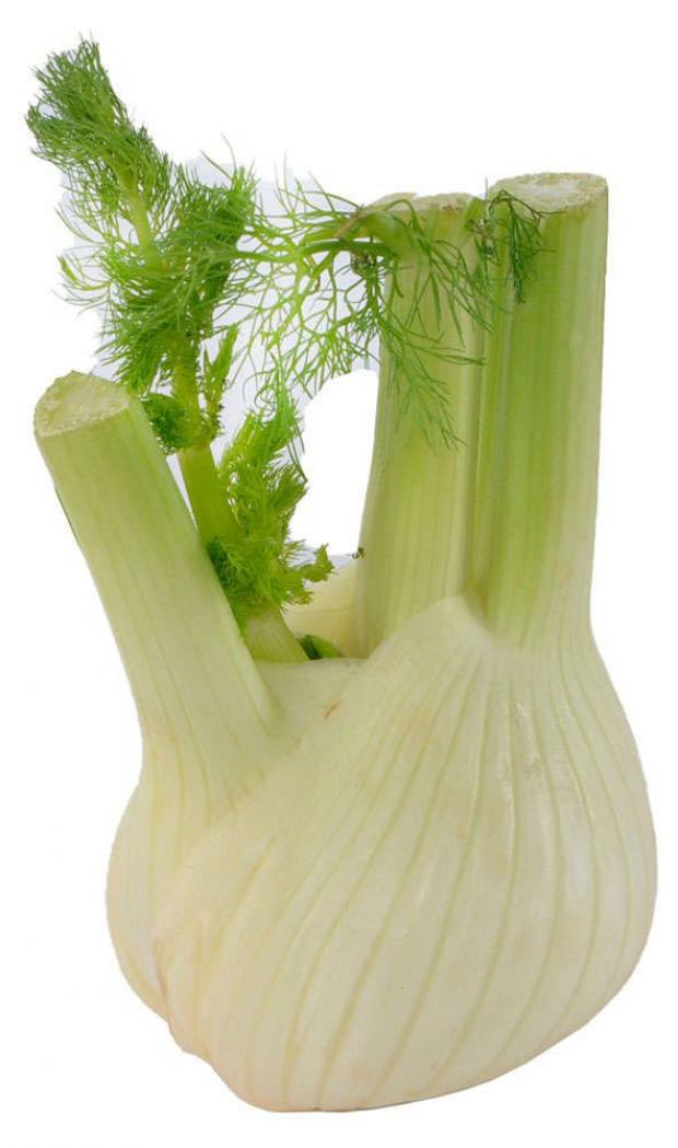 Фенхель вес 430₽