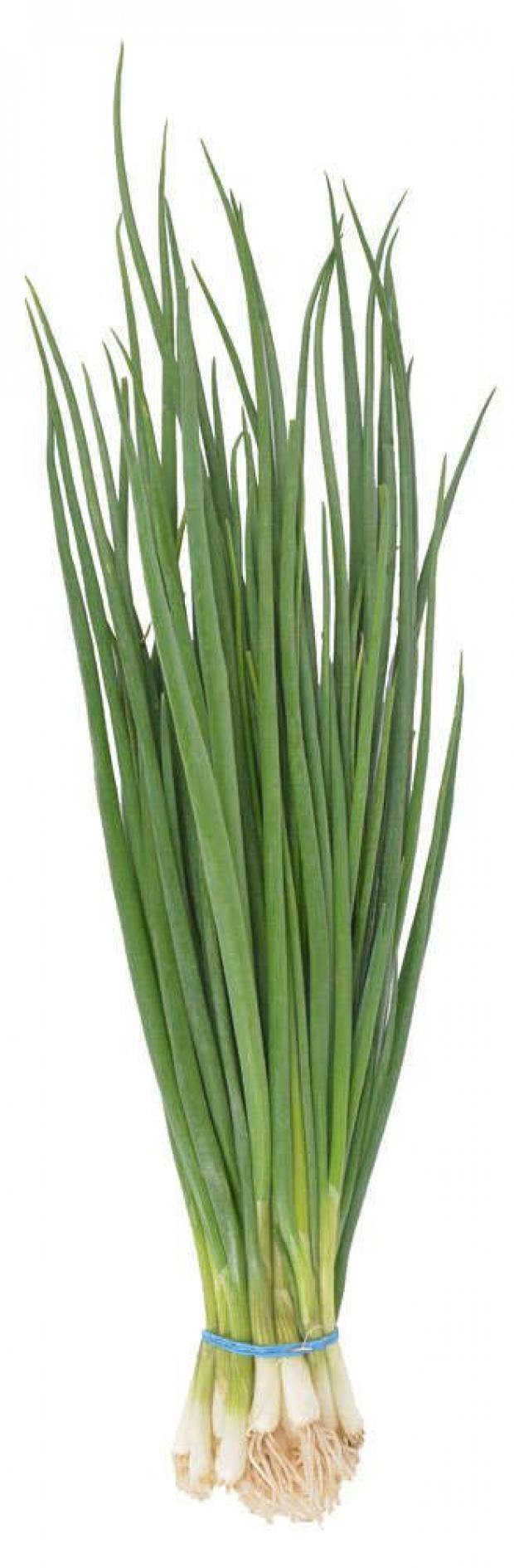 Лук зеленый вес 599₽